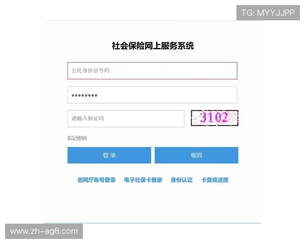 亚娱体育中国官网入口：如何通过官方入口安全登录并保障个人信息安全